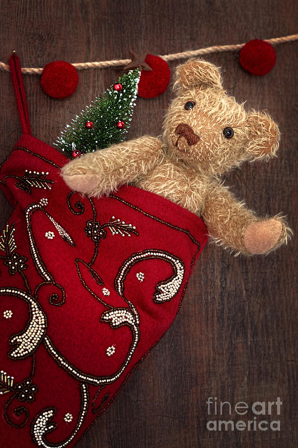 Christmas Photograph - Antique teddy bear in stocking by Sandra Cunningham