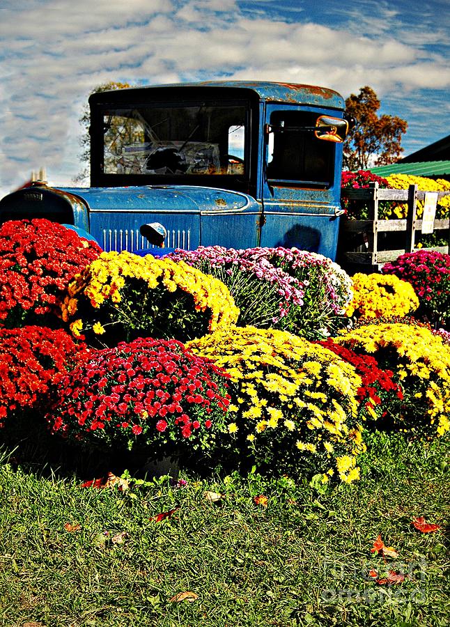 Antique Truck And Flowers Photograph