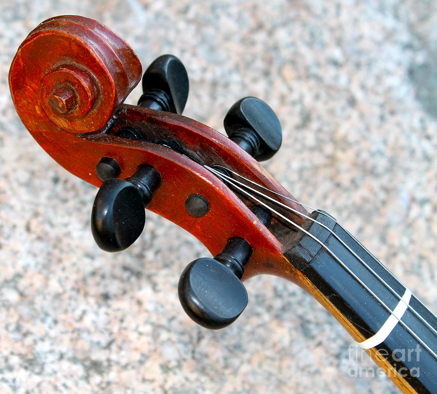 Antique Violin Photograph by Pamela Walrath