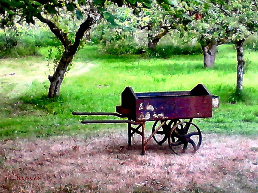 Antique Wheelbarrow Photograph by A L Sadie Reneau