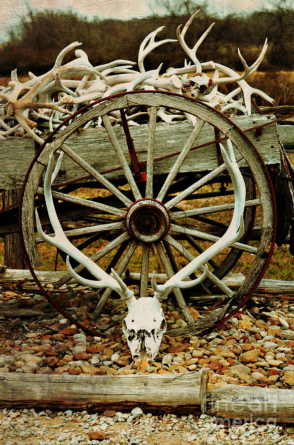 Antlers Wagon Wheel  Photograph by Linda Cox