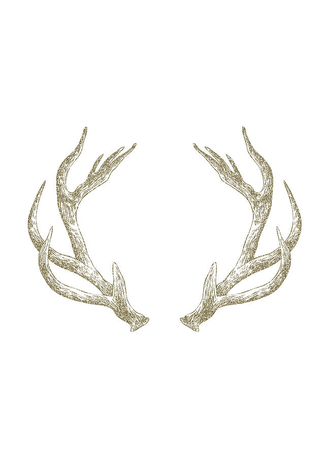 Deer Digital Art - Antlers by Randoms Print