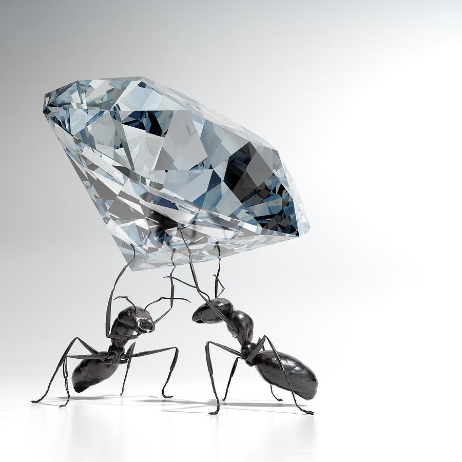 Ants carrying a Diamond Photograph by Mevans