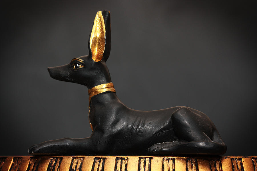 Anubis Photograph by Keith Hawley