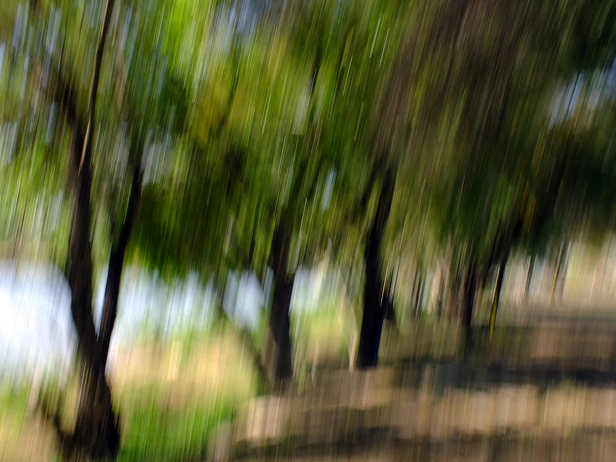 Abstract Impressionism Photograph - Anzalduas Spirits by Bill Morgenstern
