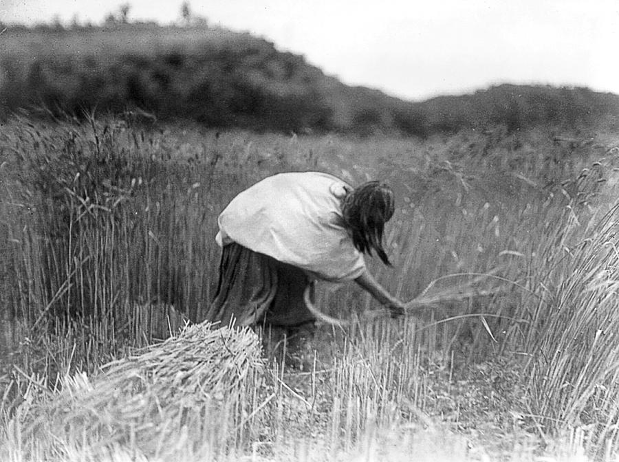 Apache Farmer, C1906 Photograph by Granger Pixels