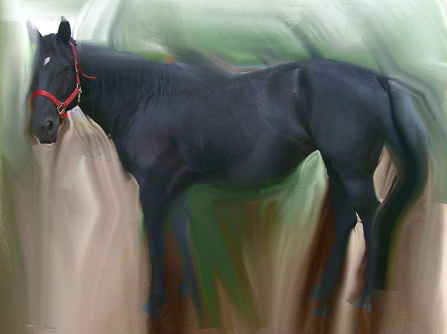 Horse Mixed Media - Apache by Lenore Senior