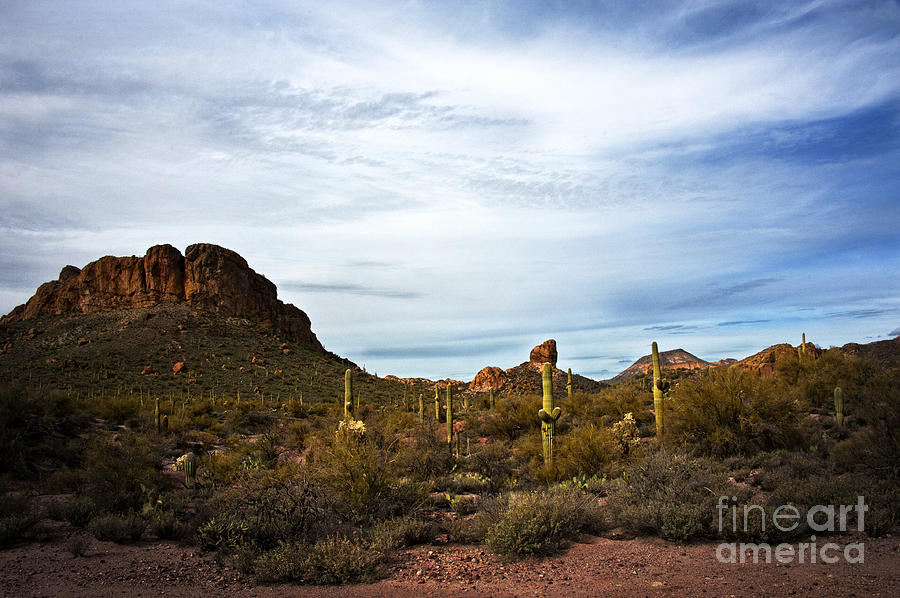 Apache Trail Red Rock Photograph by Lee Craig