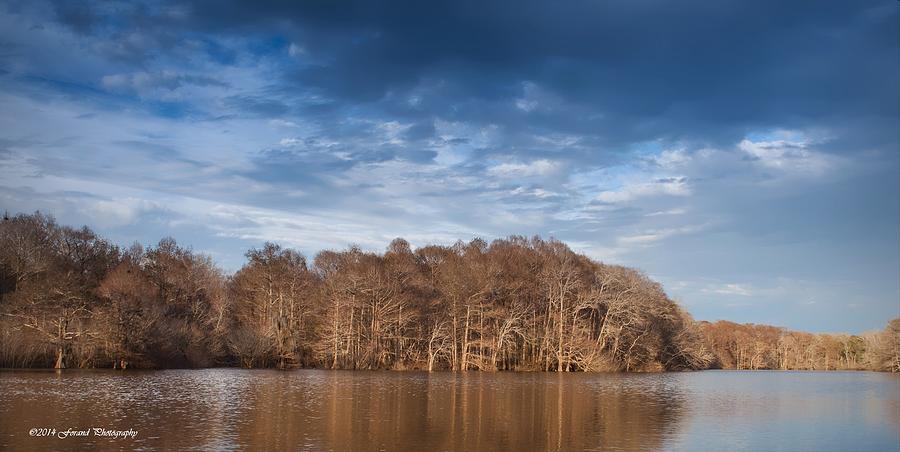 Apalachicola River 2 Photograph by Debra Forand