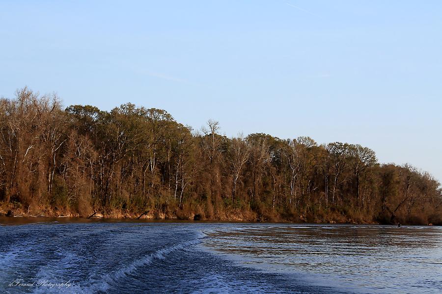 Apalachicola River  Photograph by Debra Forand