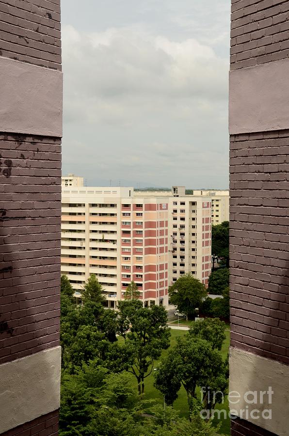 Apartment Buildings In Western Singapore Photograph