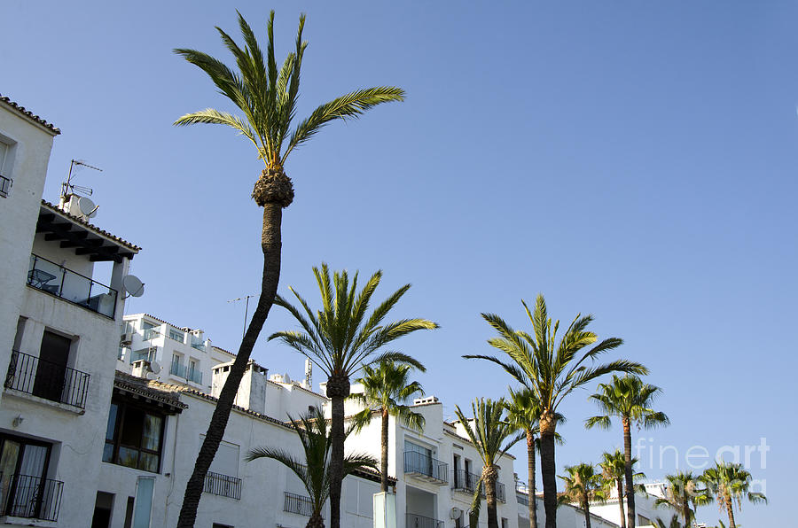 Apartments in Puerto Banus in Marbella in Spain Photograph by Perry Van Munster