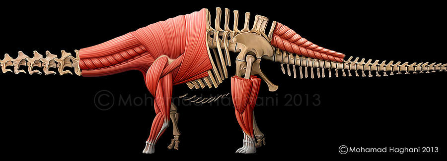 Apatosaurus Painting By Mohamad Haghani