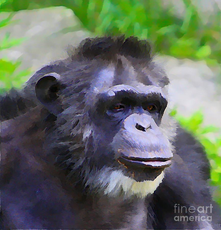 Ape Photograph by Robert Pearson
