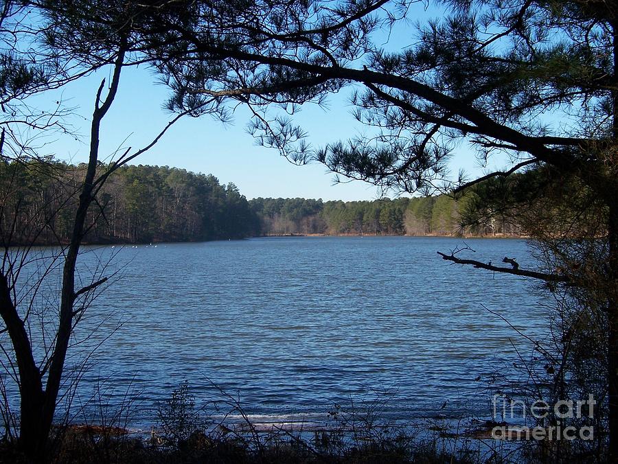 Raleigh Photograph - Apex Lake by Kevin Croitz