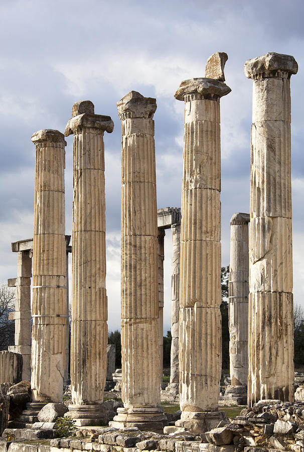 Aphrodisias Columns Photograph by Ramunas Bruzas
