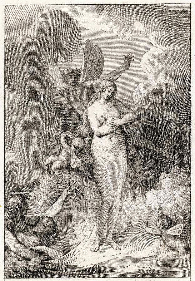 Aphrodite/venus Is Born Drawing by Mary Evans Picture Library