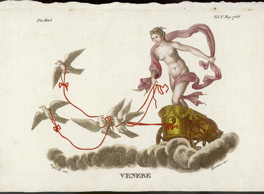 Aphrodite/venus Rides Her Chariot is a drawing by Mary Evans Picture Librar...