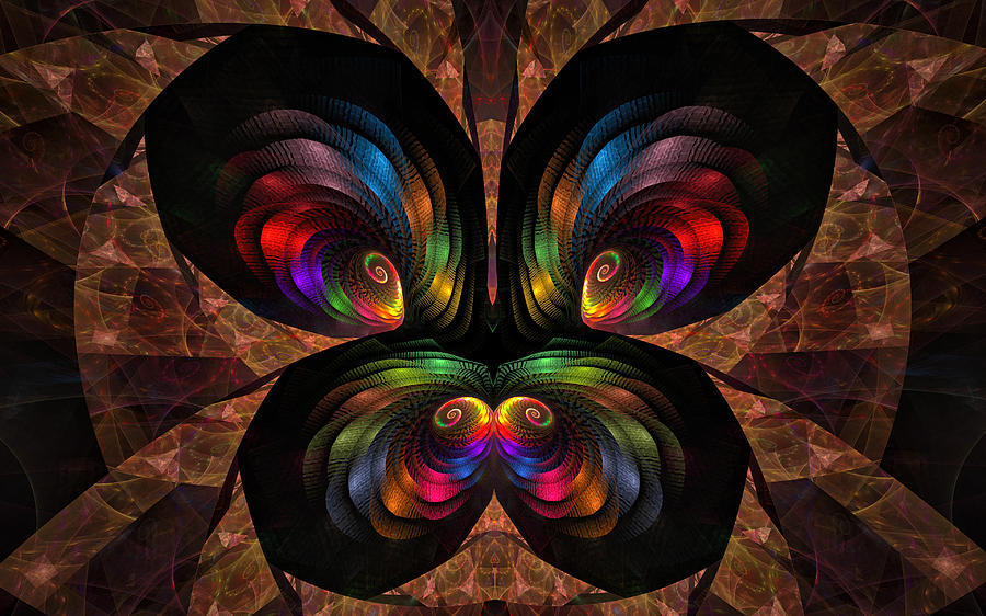 Apo Butterfly Digital Art by Gary Blackman