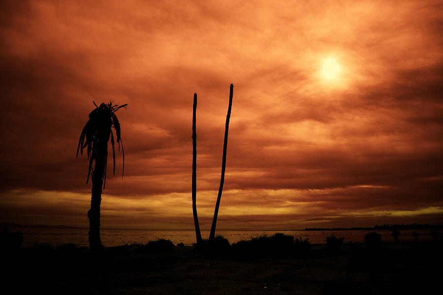 Apocalypse Nowish Photograph by Mike Trueblood