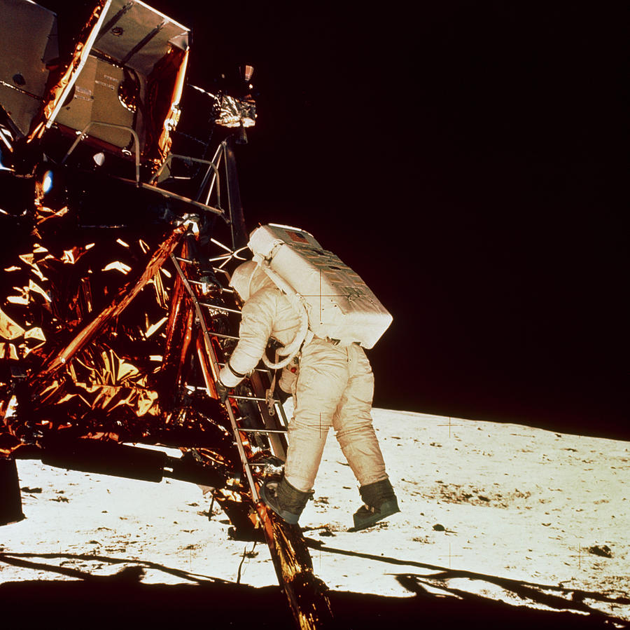 Apollo 11 Astronaut E. Aldrin Leaving Lunar Module Photograph by Nasa/science Photo Library
