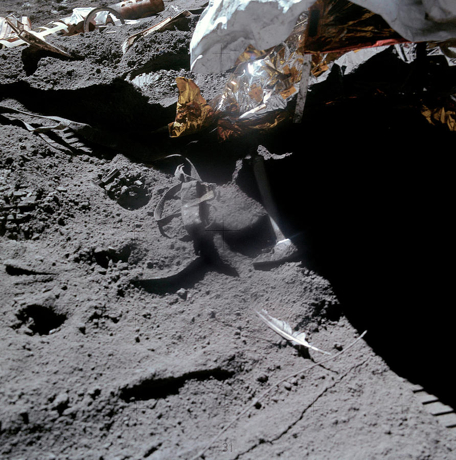 Apollo 15 Gravity Demonstration Photograph by Nasa