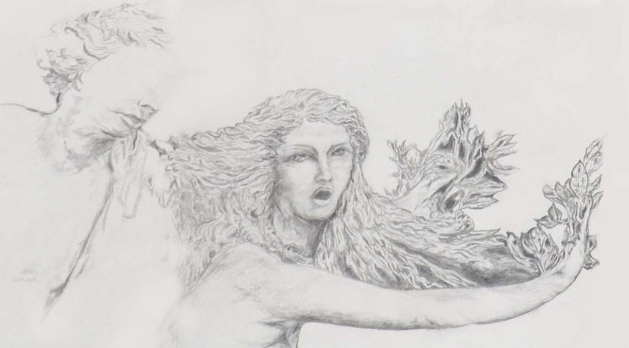 Apollo and Laurel Tree Drawing by Michelle S White