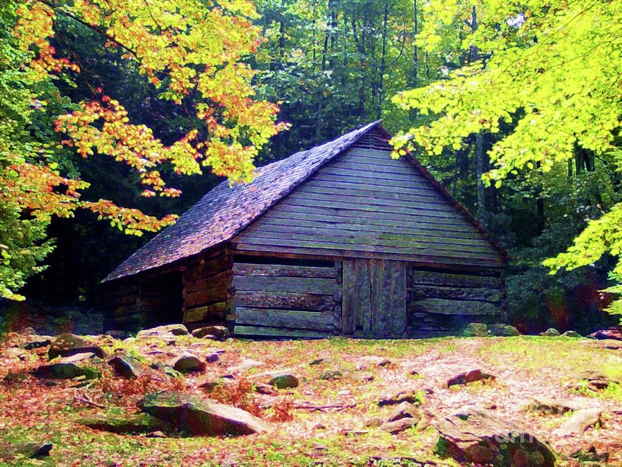 Appalachian Barn in Fall Photograph by Desiree Paquette