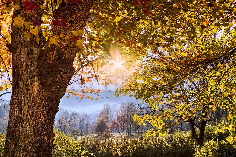 Fall Photograph - Appalachian Glow by Debra and Dave Vanderlaan