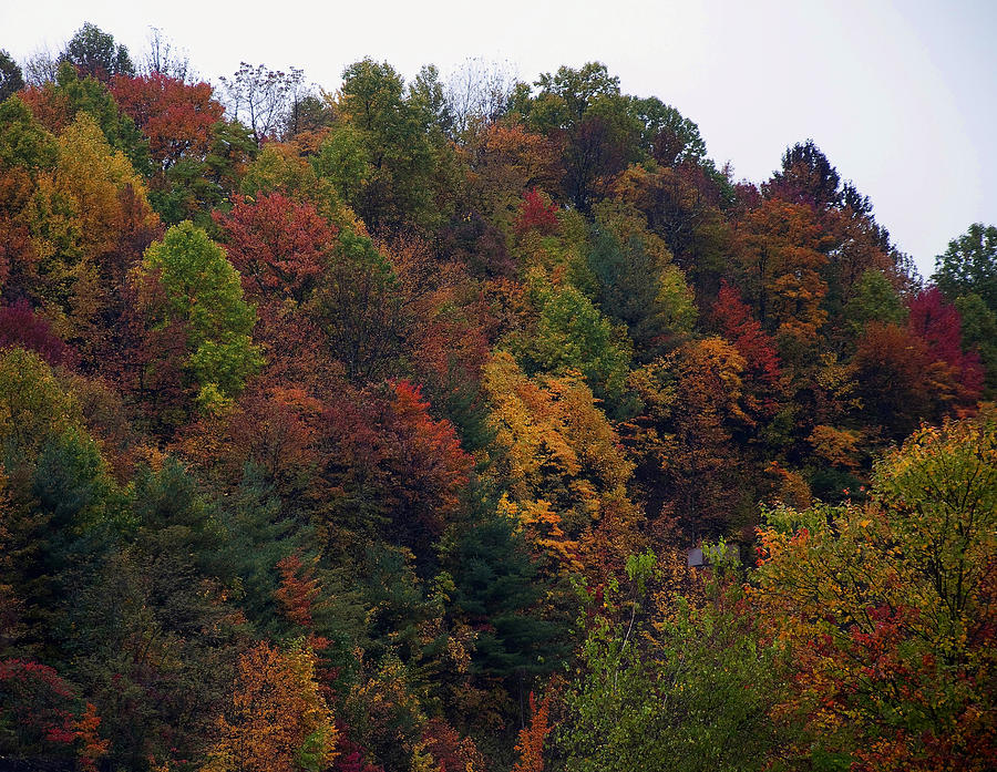 Landscape Photograph - Appalachian mountain fall by Flees Photos