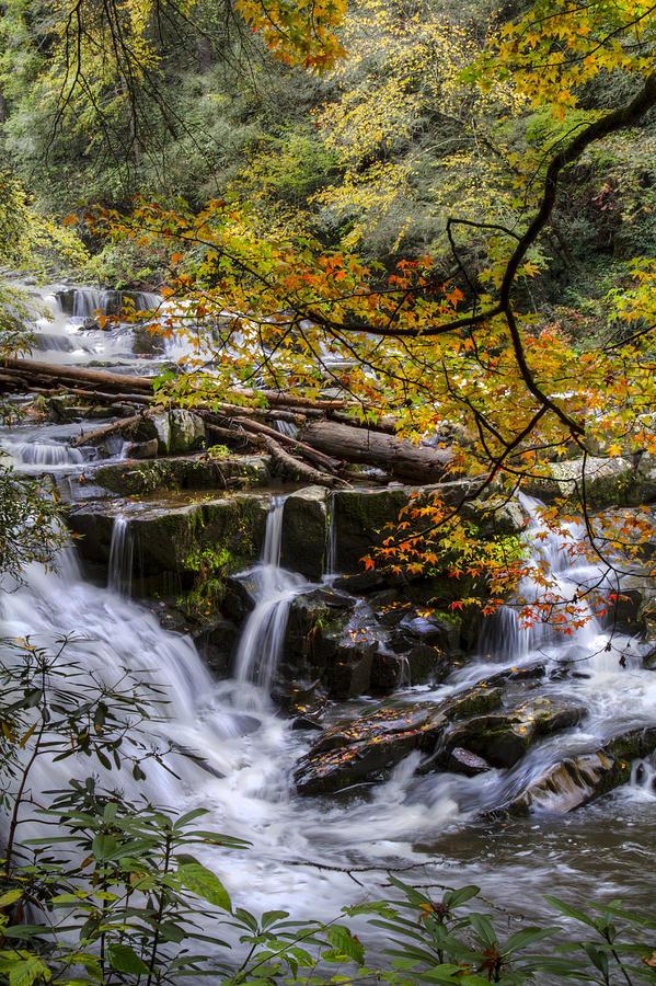 Appalachian Mountain Waterfall Photograph by Debra and Dave Vanderlaan