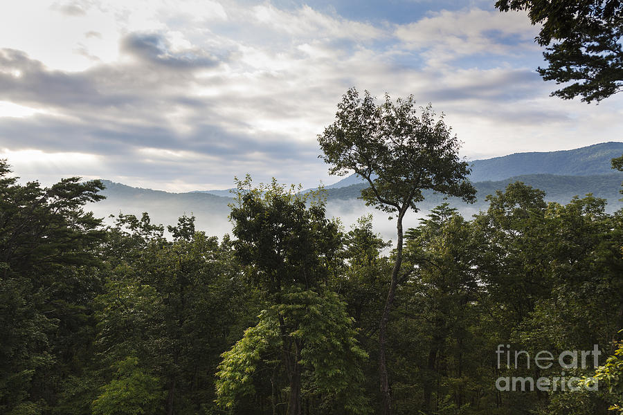 Appalachian mountains Photograph by Juan Silva