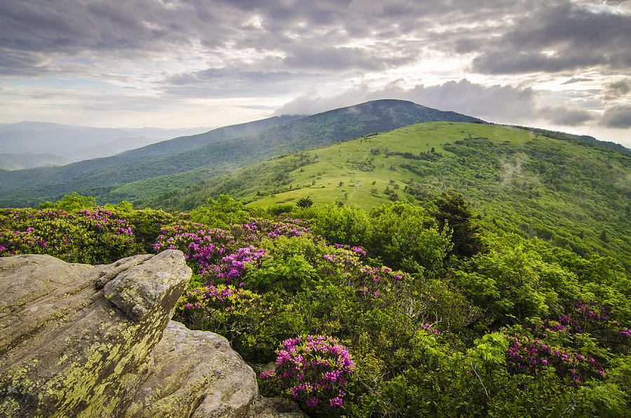 Appalachian Mountains Nc Tn Beautiful Jane's Bald by Robert Stephens