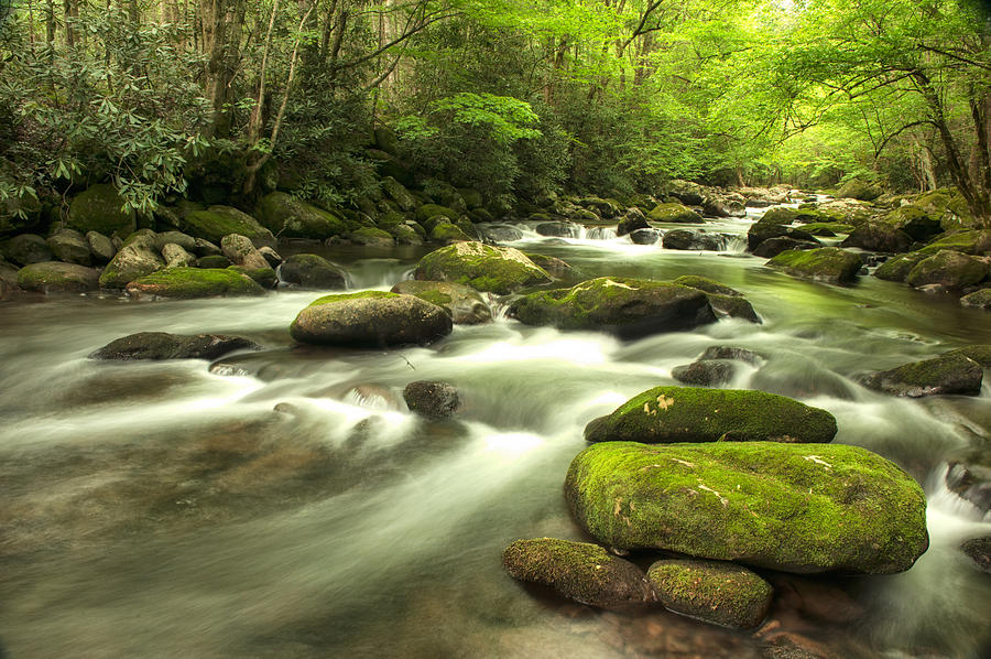Spring Photograph - Appalachian Spring Stream by Phyllis Peterson