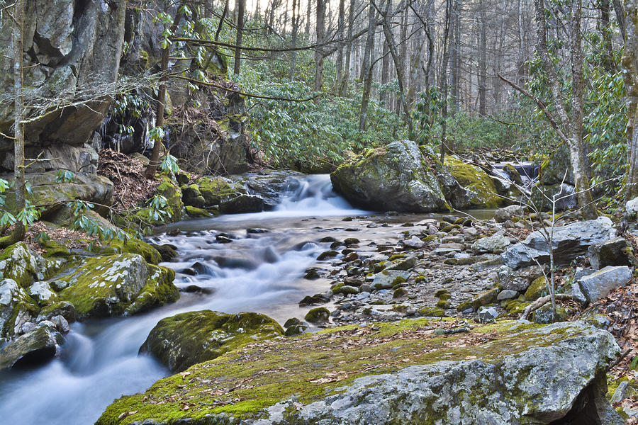 Winter Photograph - Appalachian Stream 2 by Ryan Phillips