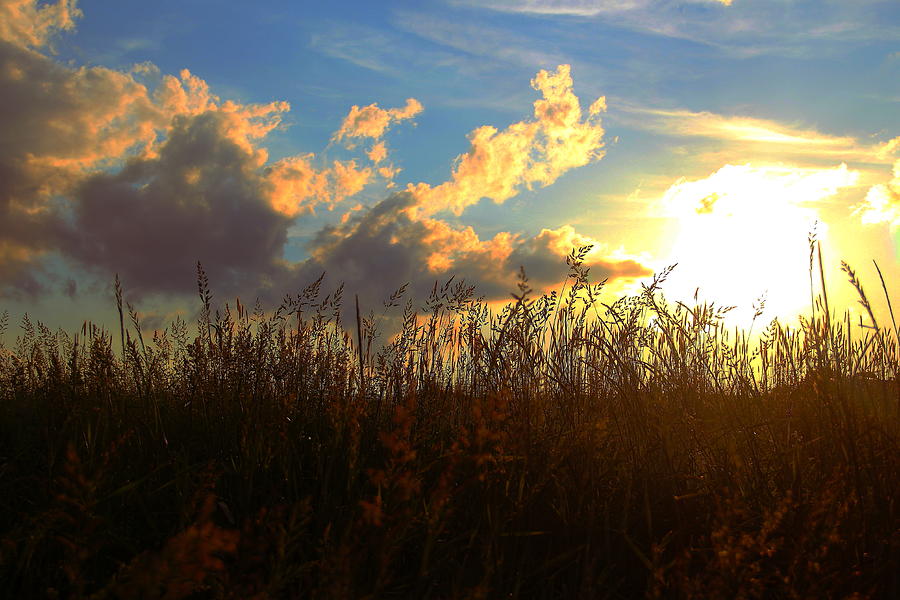 Appalachian Sun Photograph by Andrea Galiffi