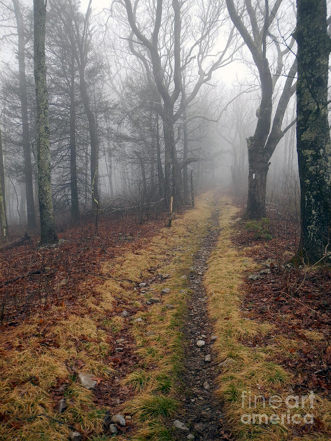 Appalachian Trail Fog Photograph