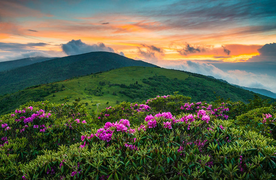 Sunset Photograph - North Carolina Appalachian Trail Roan Mountain Highlands by Dave Allen