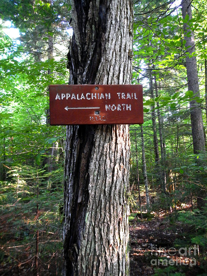 Appalachian Trail Sign North Photograph by Glenn Gordon