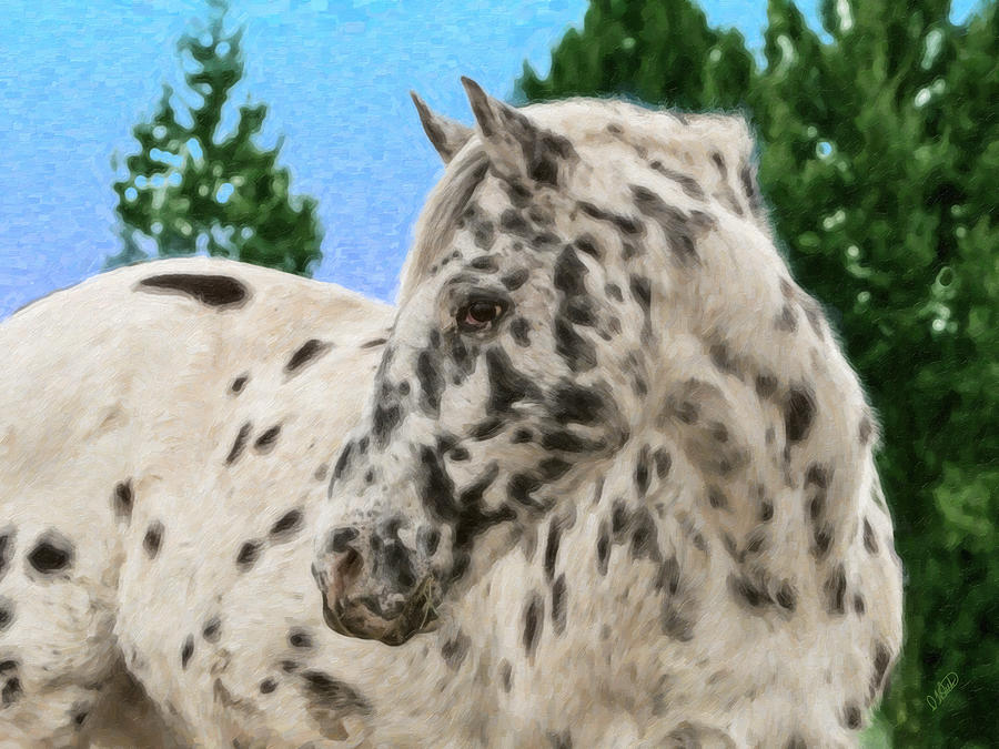 Appaloosa Equ423010 Painting by Dean Wittle