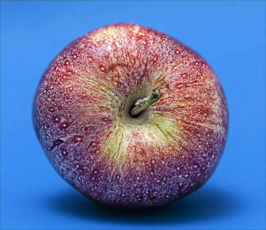 Apple 2 Photograph by Robert Ullmann