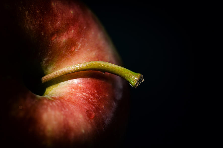 Abstract Photograph - Apple A Day by Karol Livote