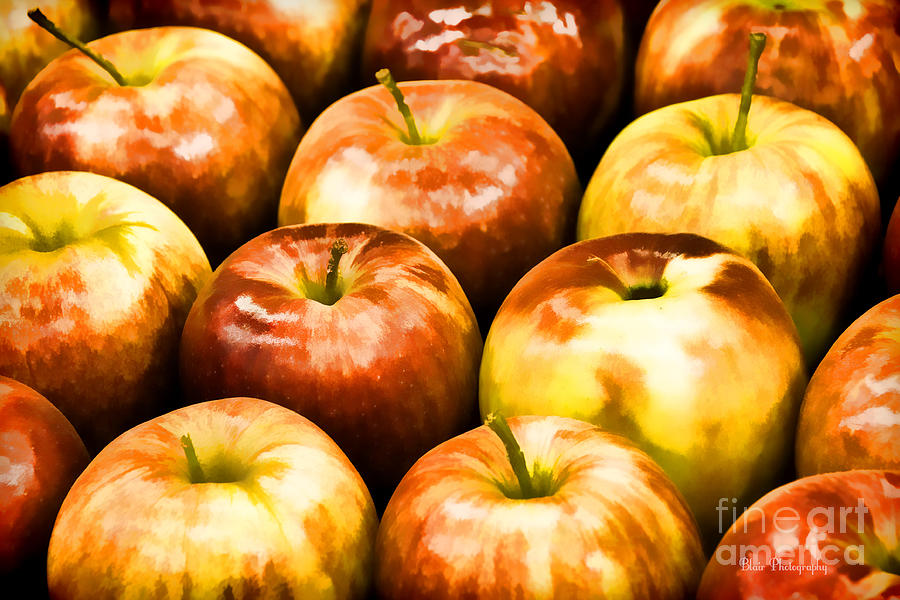 Apple A Day Photograph by Linda Blair