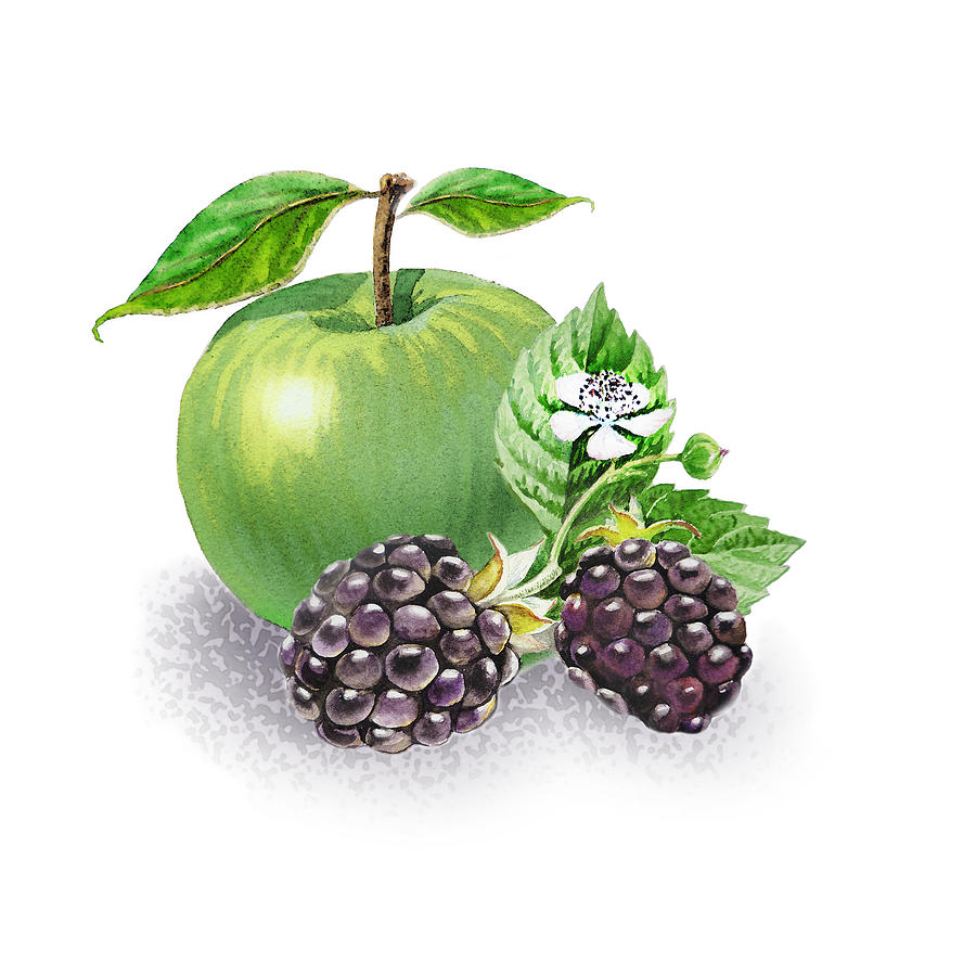 Apple And Blackberries Painting by Irina Sztukowski