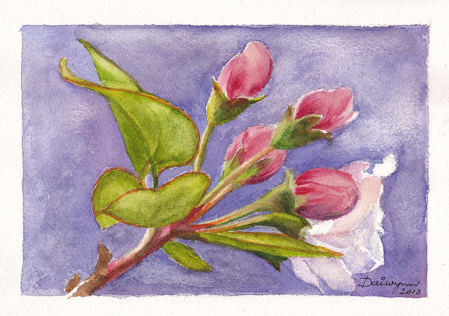 Apple Blossom Buds Painting by Dai Wynn