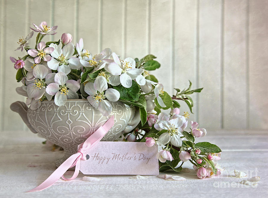 Apple blossom flowers in vase with gift card Photograph by Sandra Cunningham