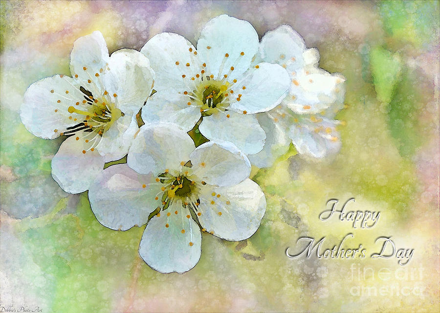 Apple Blossom Mothers Day Card Photograph by Debbie Portwood