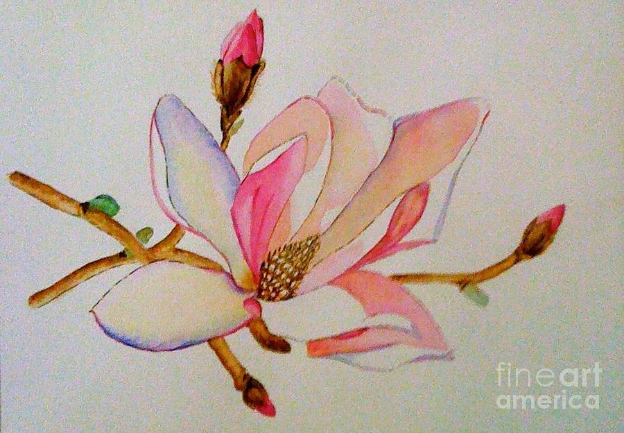 Apple Blossom Painting By Tracy Lynn Davies Fine Art America