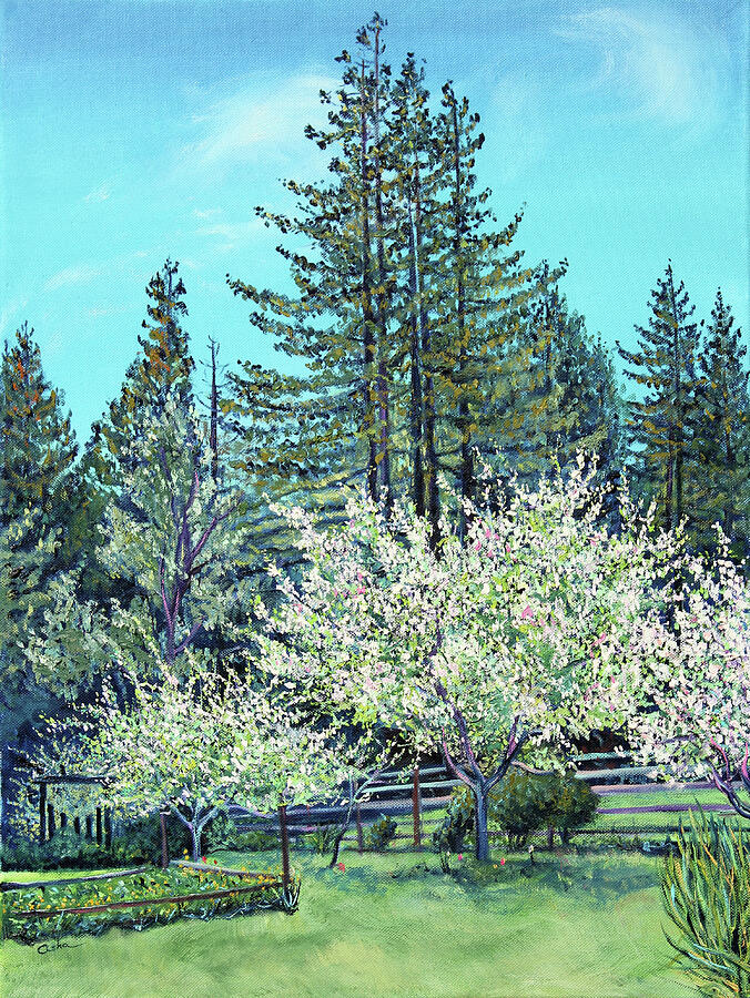 Spring Garden Painting - Apple Blossoms and Redwoods by Asha Carolyn Young