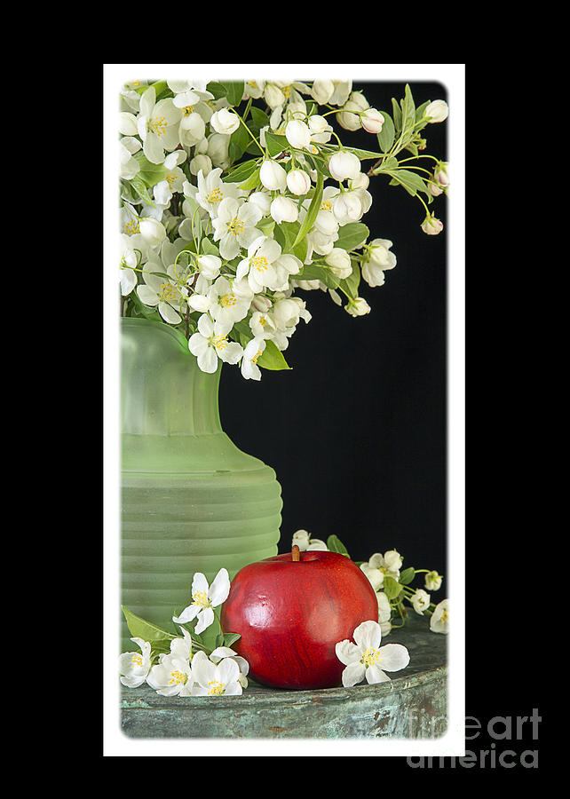 Apple Photograph - Apple Blossoms Card by Edward Fielding